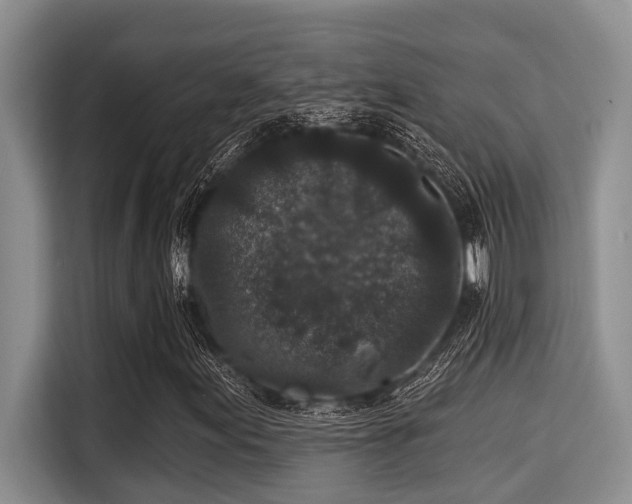X0000115291155200911090946