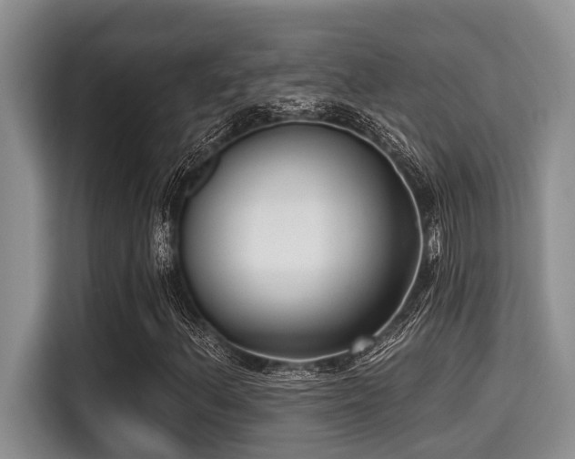 X0000115291156200911090946