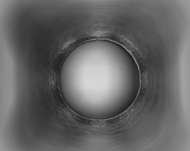 X0000115291158200911090946