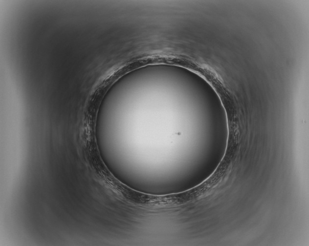 X0000115291159200911090946