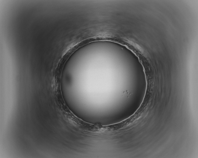 X0000115291160200911090946