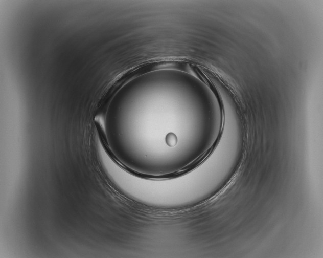 X0000115291161200911090946