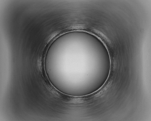 X0000115291162200911090946