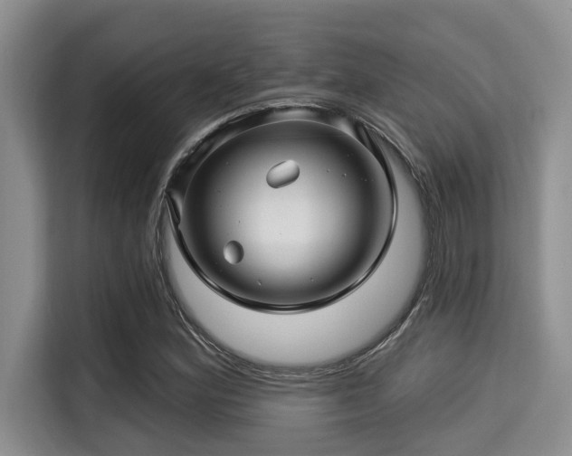 X0000115291164200911090946