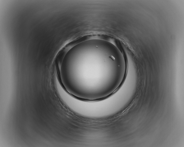 X0000115291165200911090946