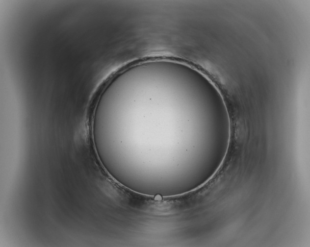 X0000115291167200911090946
