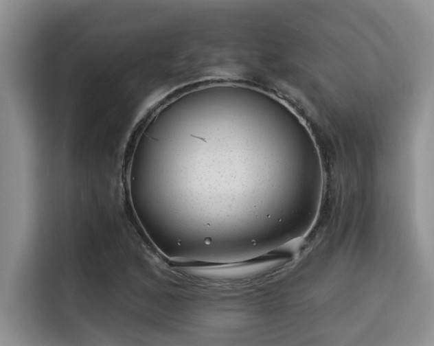 X0000115291168200911090946