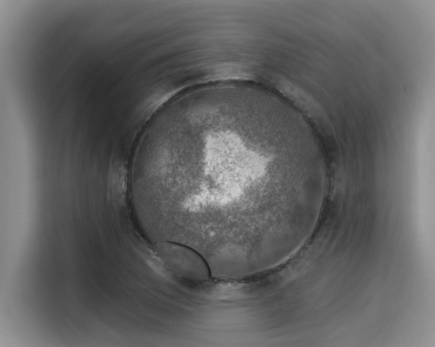 X0000115291169200911090946
