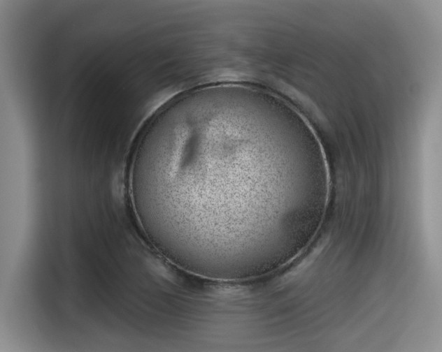X0000115291170200911090946
