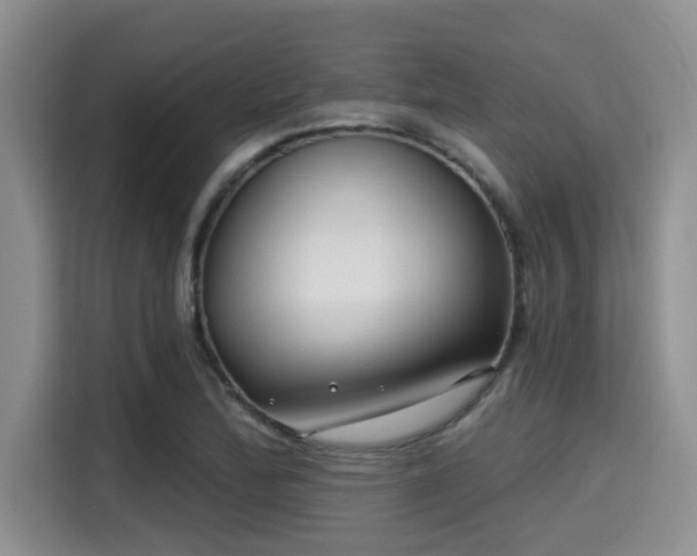 X0000115291172200911090946
