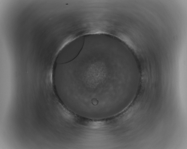 X0000115291173200911090946