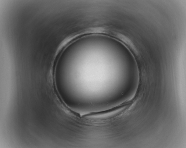 X0000115291176200911090946