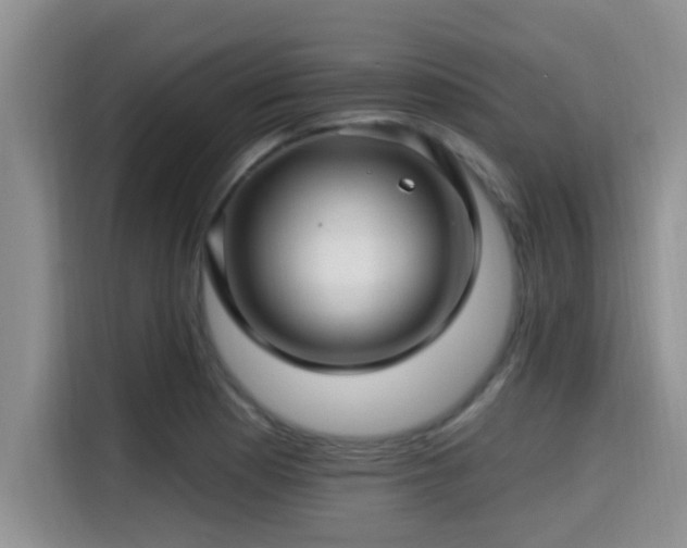 X0000115291177200911090946