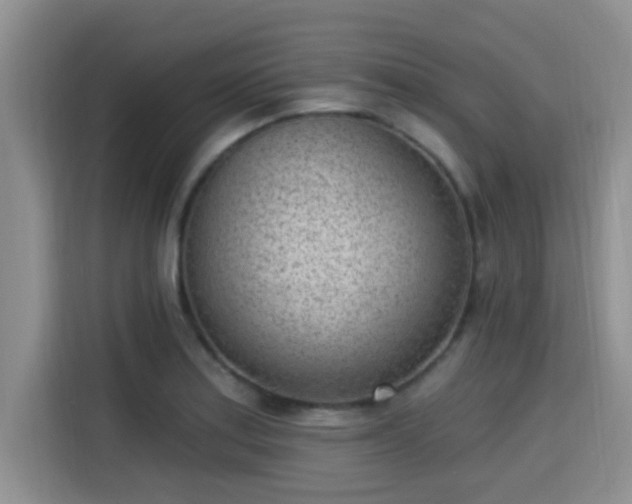 X0000115291179200911090946