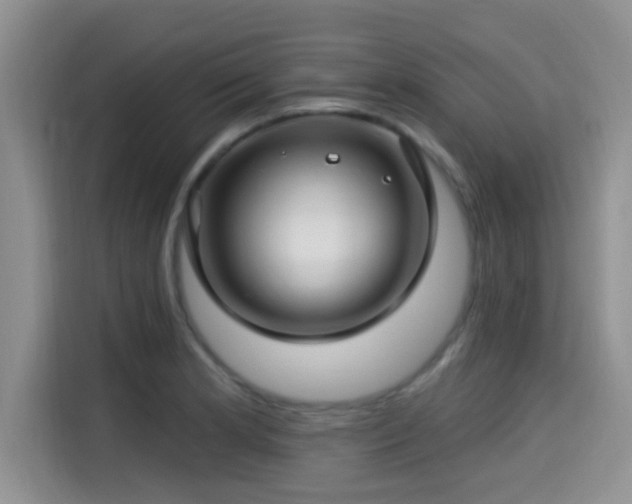 X0000115291181200911090946