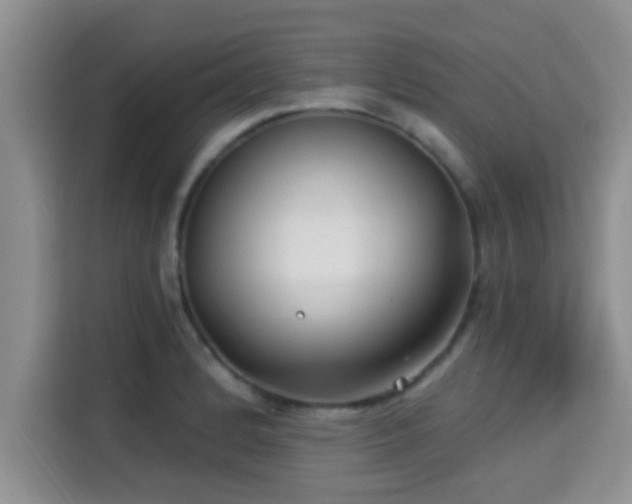 X0000115291184200911090946