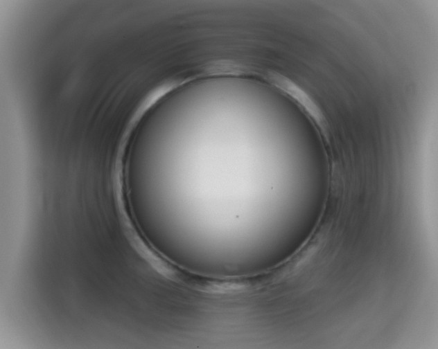 X0000115291187200911090946