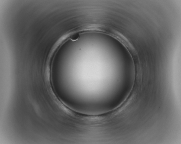 X0000115291188200911090946