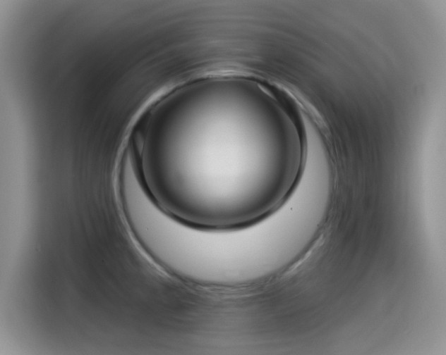 X0000115291189200911090946