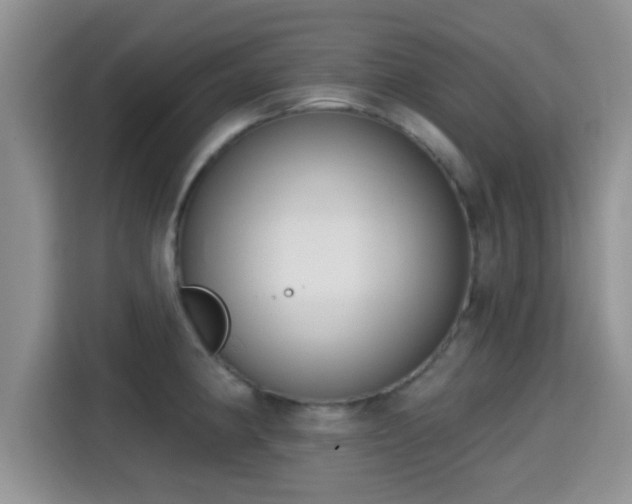 X0000115291190200911090946