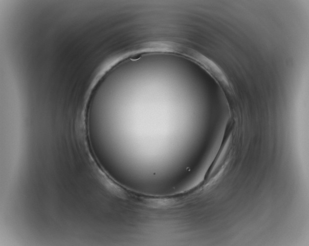 X0000115291192200911090946