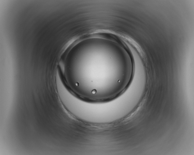 X0000115291193200911090946