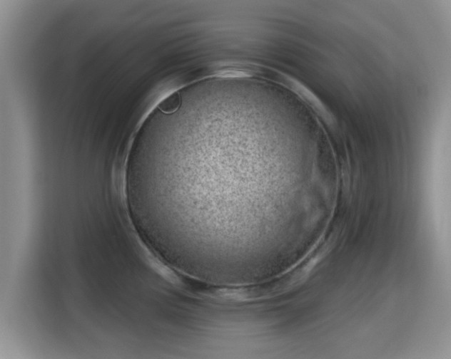 X0000115291194200911090946