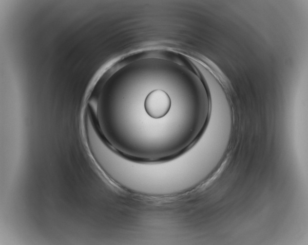 X0000115291196200911090946