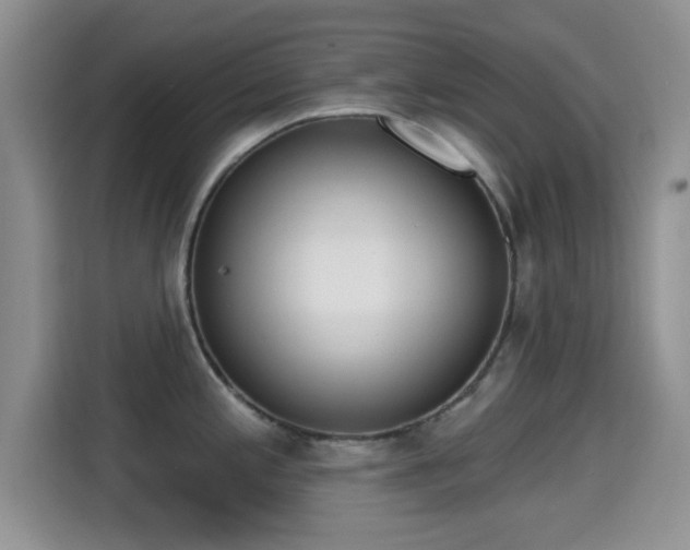 X0000115291197200911090946