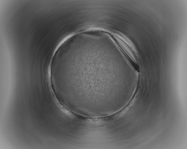 X0000115291198200911090946