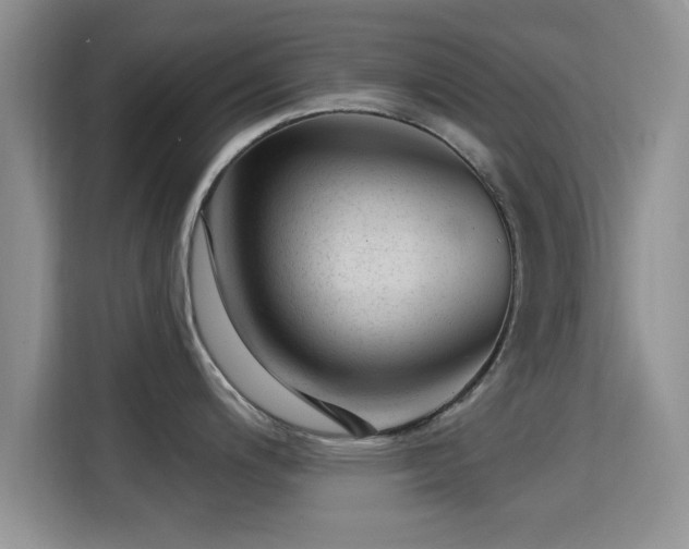 X0000115291200200911090945