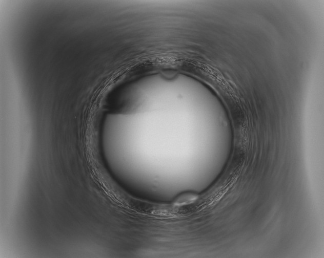 X0000115291201200911090945