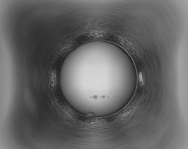 X0000115291203200911090945