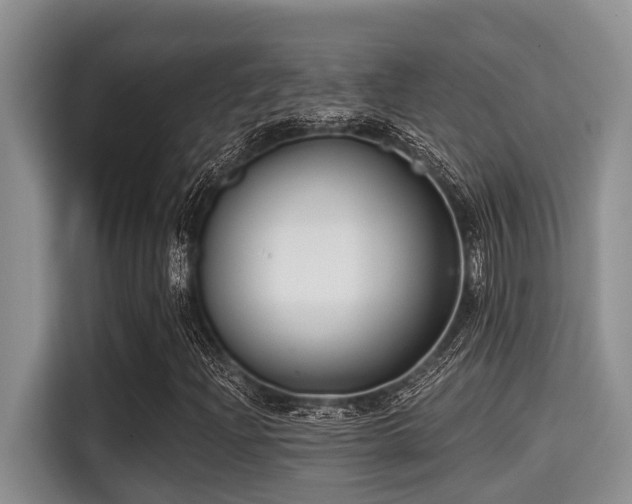 X0000115291204200911090945