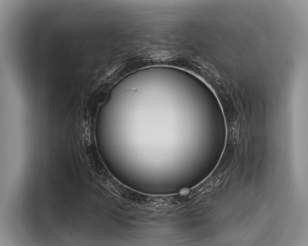 X0000115291205200911090945