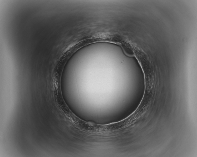 X0000115291206200911090945
