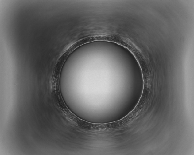 X0000115291208200911090945