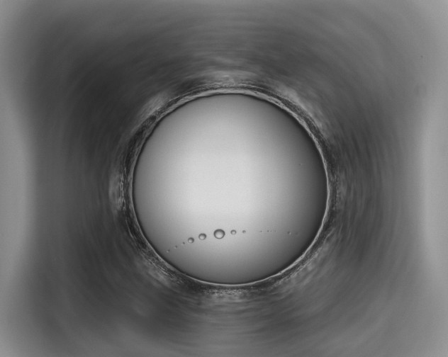 X0000115291211200911090945
