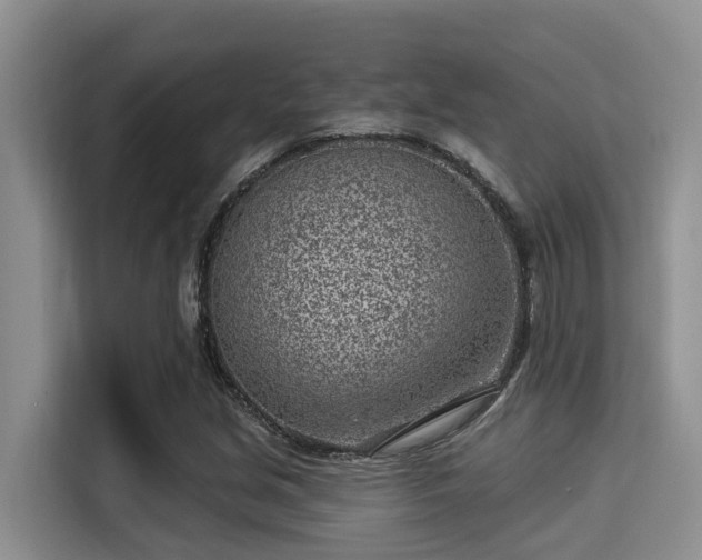X0000115291213200911090945