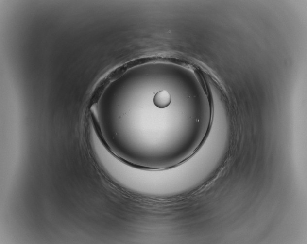 X0000115291215200911090945