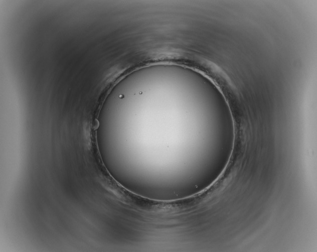 X0000115291217200911090945