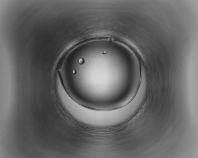 X0000115291219200911090945