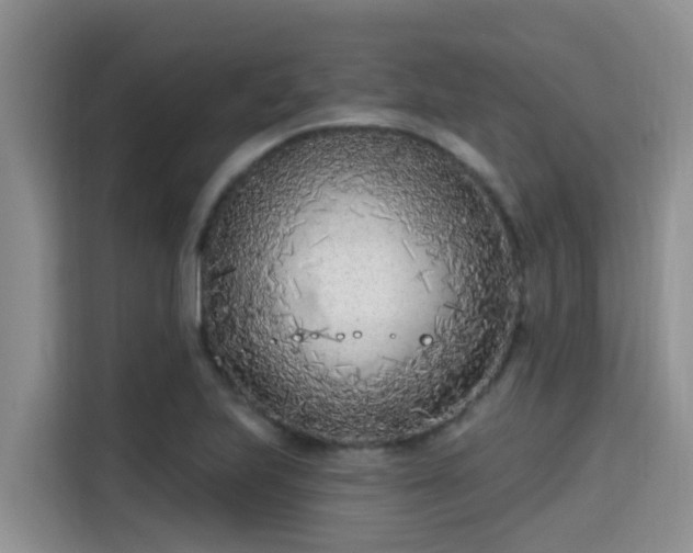 X0000115291223200911090945