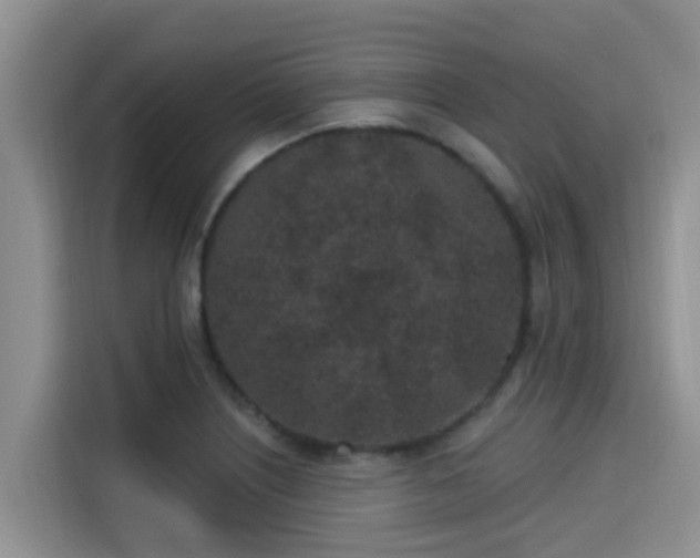 X0000115291226200911090945