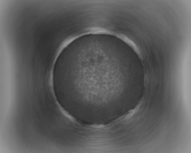 X0000115291231200911090945