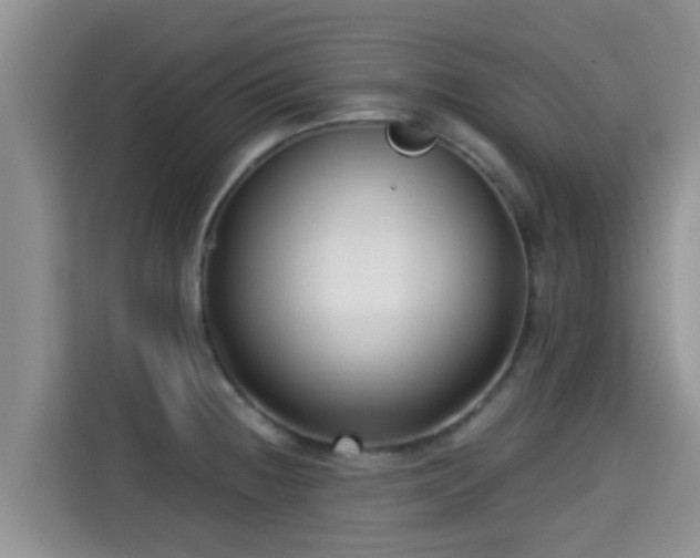 X0000115291236200911090945