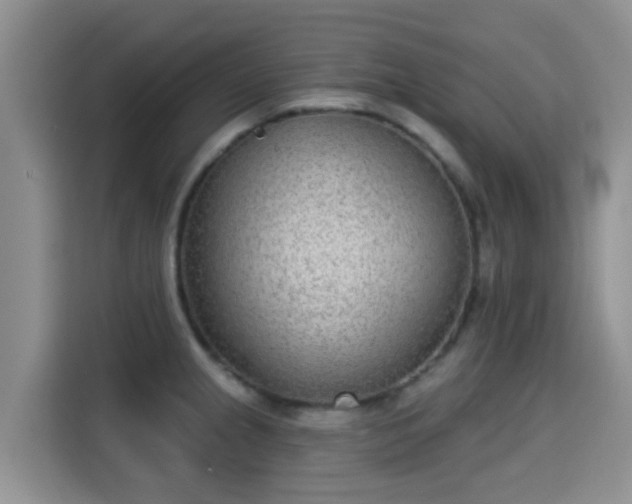 X0000115291237200911090945