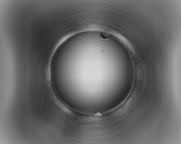 X0000115291238200911090945