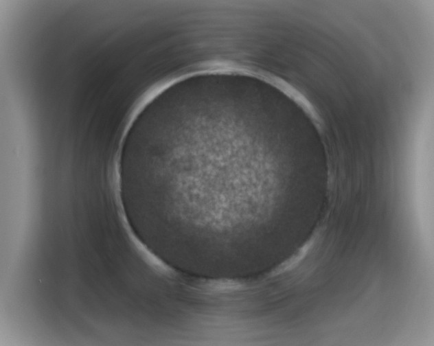 X0000115291239200911090945