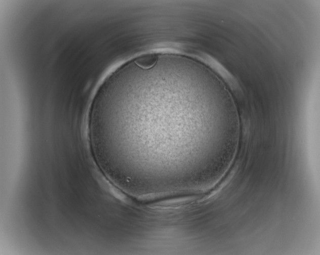 X0000115291240200911090945
